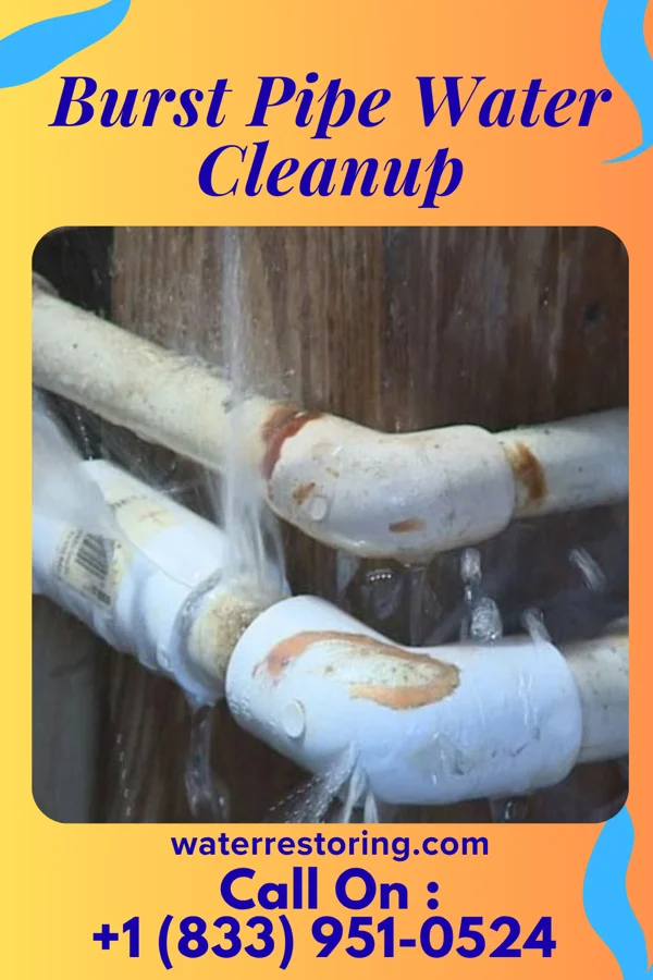 Burst Pipe Water Cleanup in Millerton, IA