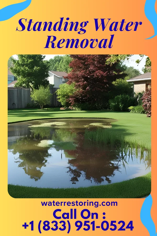 Standing Water Removal in Millerton, IA